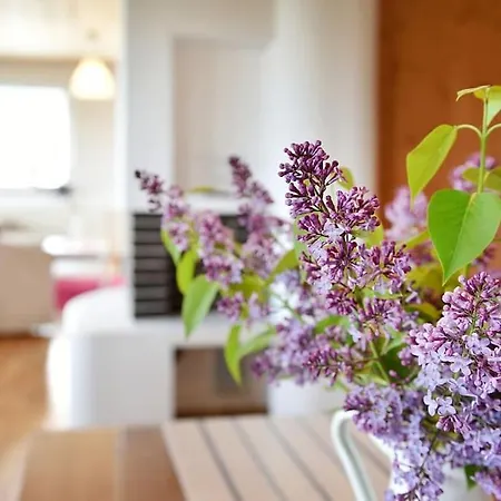 Priestranny, Svetly Apartmán